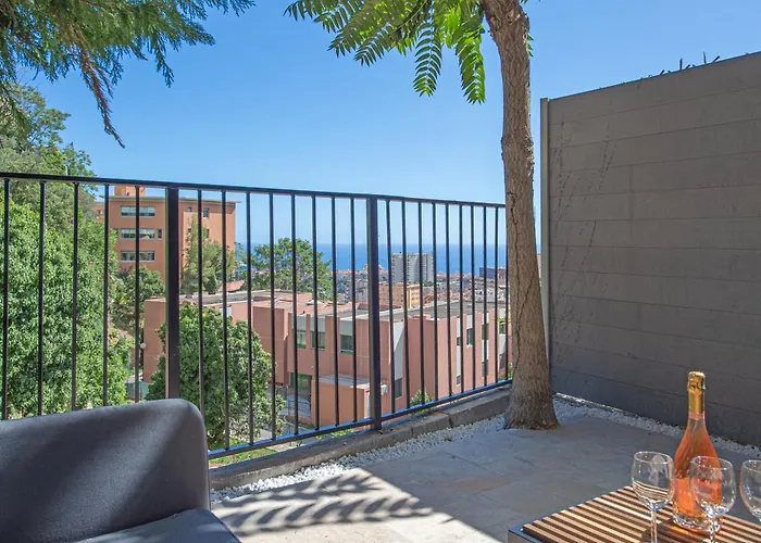 Apartment Somptueux Studio - Terrasse & Vue - Parking - Gf Beausoleil